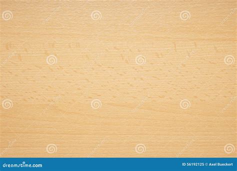 Beech wood background stock image. Image of wood, carpentry - 56192125