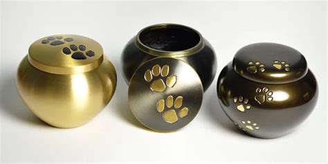 The Cost Of Dog Cremation Everything You Need To Know My Pet Needs That