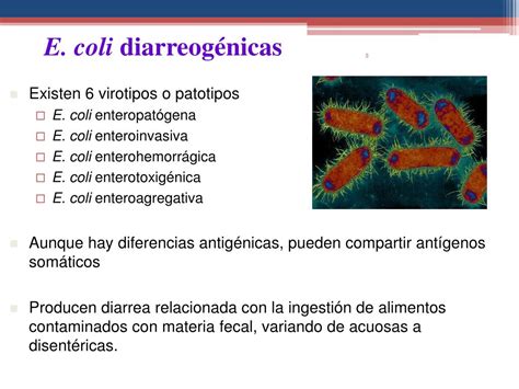 Ppt Seminario De Mecanismos De Patogenicidad Powerpoint Presentation