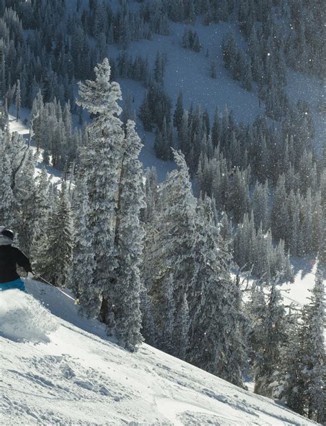 Guided Backcountry Skiing In Grand Targhee WY 57hours