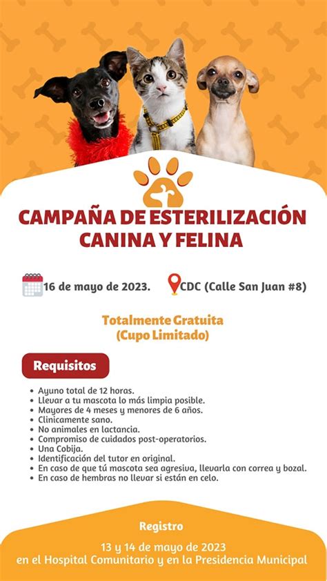 Campaña de esterilización canina y felina Ayuntamiento de Nochistlán