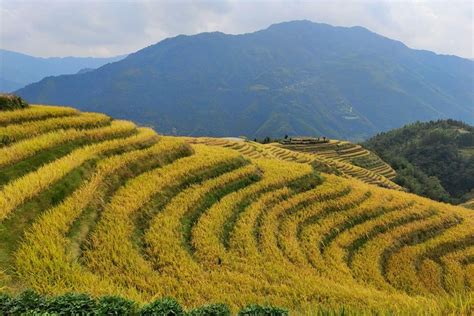 Longji Rice Terraces Day Tour From Guilin Hotel China