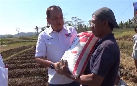 Bantu Petani Bacaleg Partai Perindo Bagikan Pupuk Gratis Di Semarang