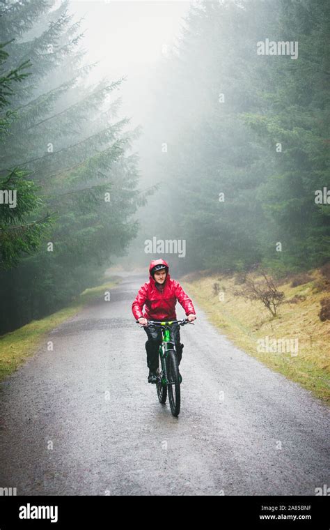 Man Mountain Biking On Trail In Rainy Woods Stock Photo Alamy