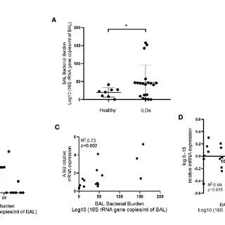 Bacterial Burden And The Inflammasome A Bacterial Burden In