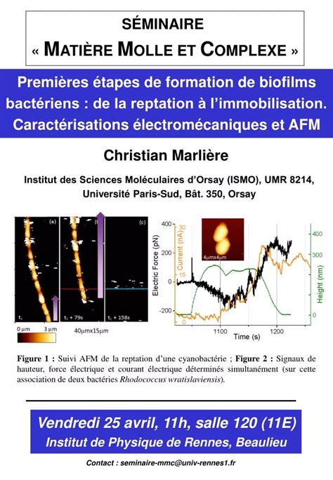 PPT S É MINAIRE M ATI È RE M OLLE ET C OMPLEXE PowerPoint