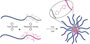 The Formation Of Core Cross Linked Star Polymers Containing Cores Cross