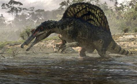 Spinosaurus | BBC Planet Dinosaur Wiki | FANDOM powered by Wikia