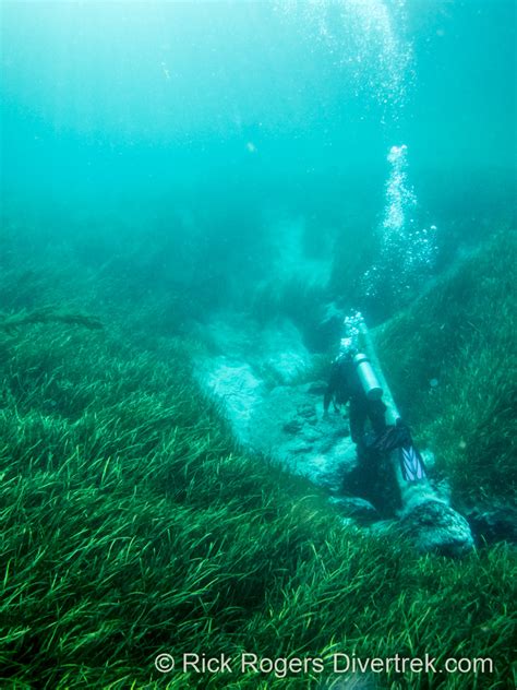 Rainbow River Drift Dive, Florida. – Diver Trek