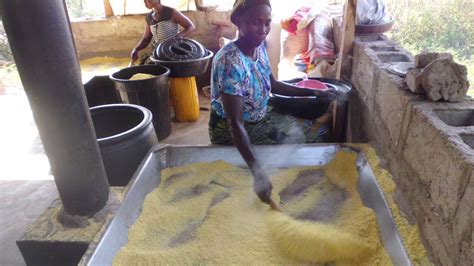 Cassava Farming And Garri Processing Bpn Project Research Blog