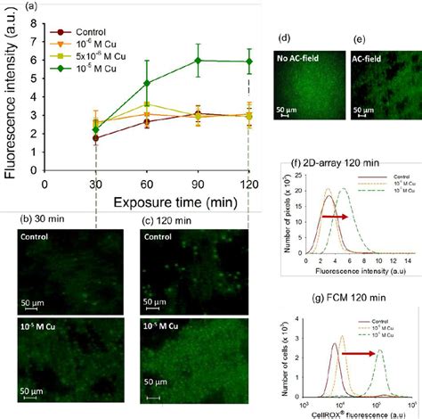 Data For Cu Induced Oxidative Stress In D Assemblies Of C