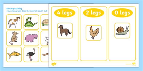 Animal Leg Sorting Activity Creat De Profesori