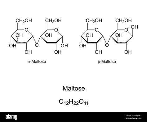 Maltose Structure Diagram