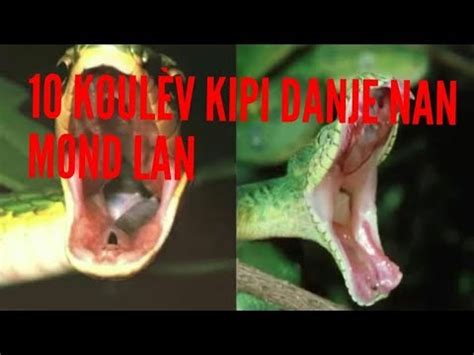 10 koulèv ki pi danje nan mond lan YouTube