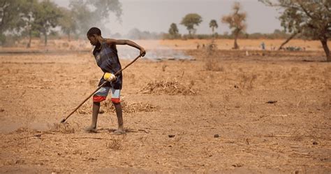 Desertification Effective Solutions To Revive Degraded Lands