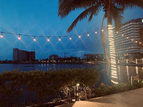 The Lights Are Hanging Over The Water And Palm Trees In Front Of