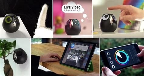 This Adorable 'Ulo' Owl Surveillance Camera Interacts With You Through ...