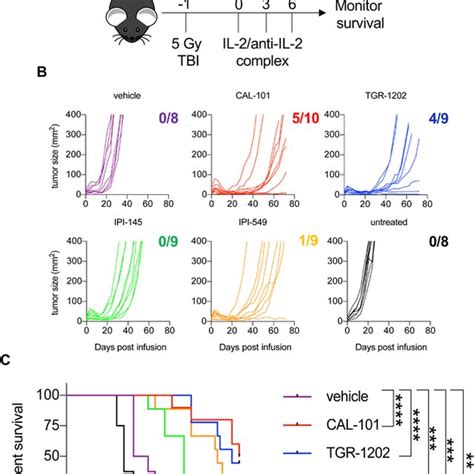 Ex Vivo Inhibition Of Pi K Or Pi K Promotes Robust Antitumor Immunity