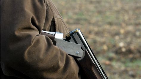 Un chasseur tué par une balle perdue lors d une battue aux sangliers