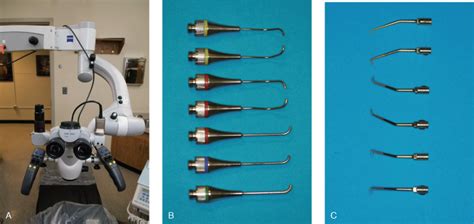 17 Endodontic Microsurgery Or Dental Implants Pocket Dentistry