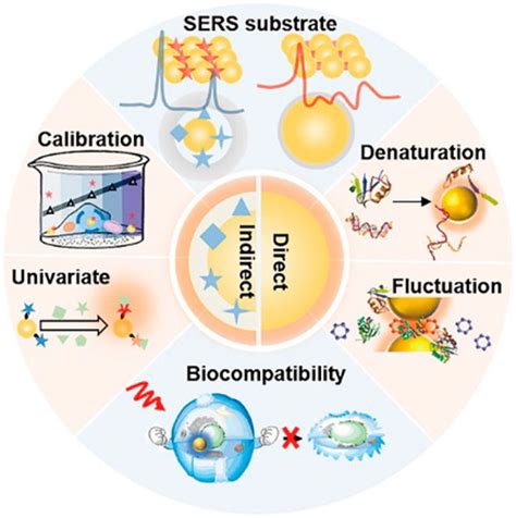 Frontiers Advances In The Application Of Raman Spectroscopy In