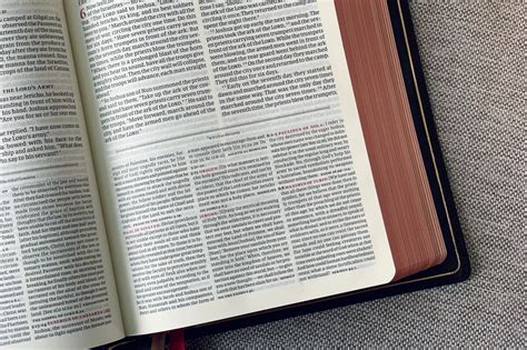CSB Ancient Faith Study Bible — Tim Wildsmith