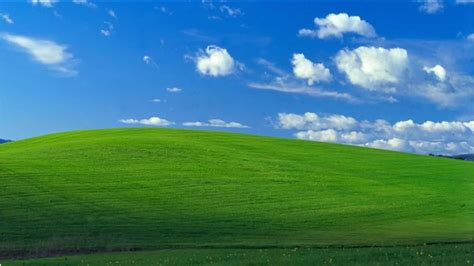 Relive The Nostalgia Of Windows Xp Green Field Background In Various