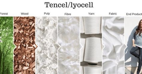 Sustainability In Textile What You Need To Know About Tencel The