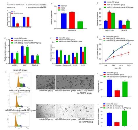 MiR 223 3p Could Inhibit NLRP3 Targetedly Note A Prediction Of The