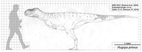 Rugops Wrinkle Faced Dinosaur From Africa