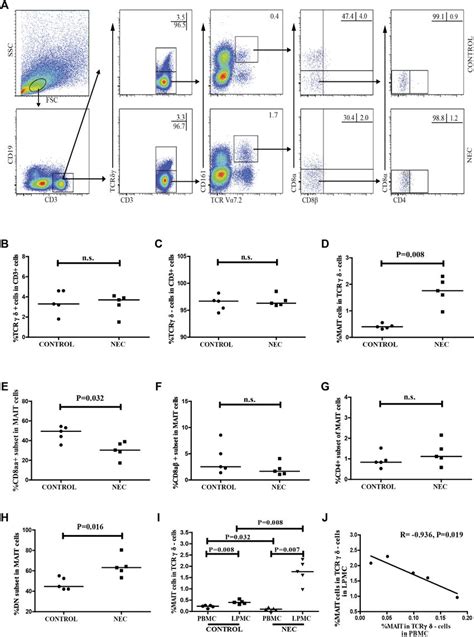 Flow Cytometric Analysis Of The Frequency Of MAIT Cells In The