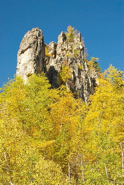 Black Hills Fall Stock Photos Pictures And Royalty Free Images Istock