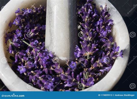 Alternative Medicine With Lavender Stock Image Image Of Essential