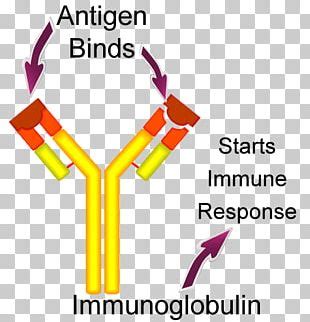 Kell Antigen System PNG Images, Kell Antigen System Clipart Free Download