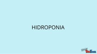 Hidroponia PPT