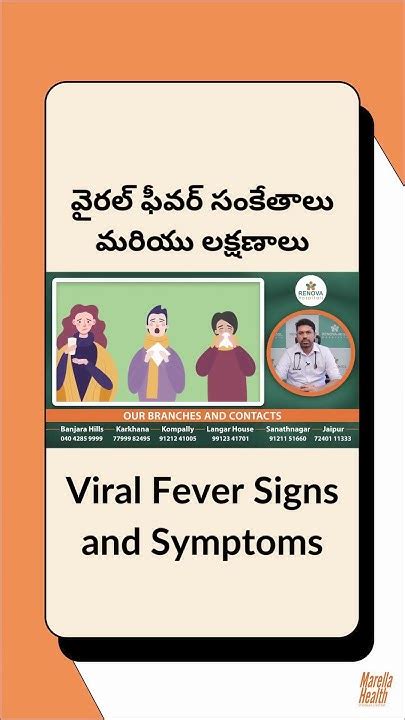 Viral Fever Signs And Symptoms Dengue Fever Chikungunya Dr