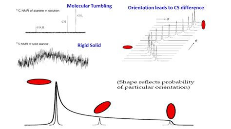 Solid State Nmr Cdmo Cro Services Pharmaceuticals Crystal Pharmatech