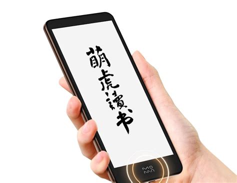 InkPalm Plus is a 5.84 inch eReader with a Rockchip RK3566 processor ...