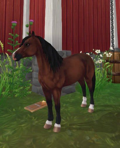 Grimly Wiki Star Stable Online Amino