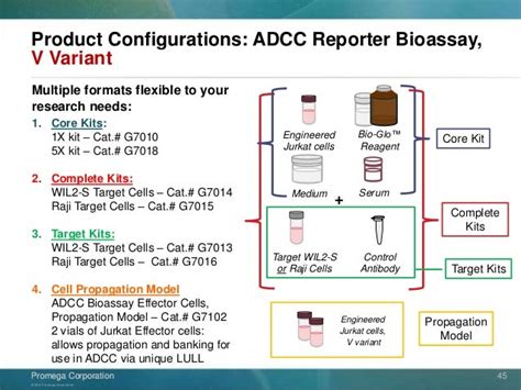 Adcc Reporter Bioassay V And F Variants Novel Bioluminescent Cell