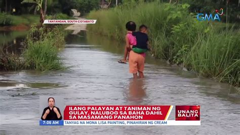 Ilang Palayan At Taniman Ng Gulay Nalubog Sa Baha Dahil Sa Masamang