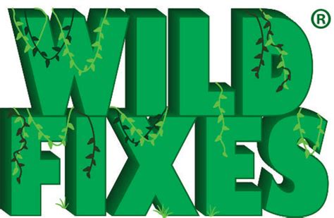 Introducing Wild Fixes! – Sustained Fun