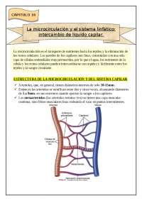 La microcirculación y el sistema linfático intercambio de líquido