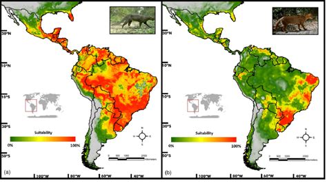 Animal Puma Map