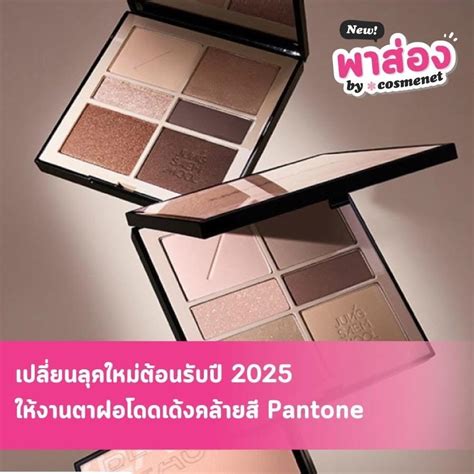 พาสอง พาเลทตาสรางจากอารตสมออาชพ pigment ชดเนอแนนพรอมใหลค soft nude และ glam nude