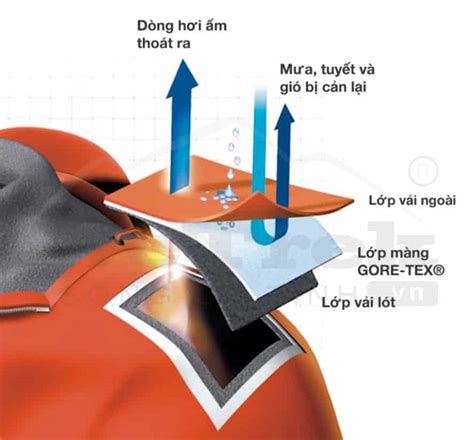 Tìm hiểu nguồn gốc gore là gì và cách áp dụng trong nghệ thuật và Âm nhạc