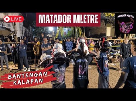 Bantengan Kalapan Matador Mletre Semamburat Kalangan Youtube