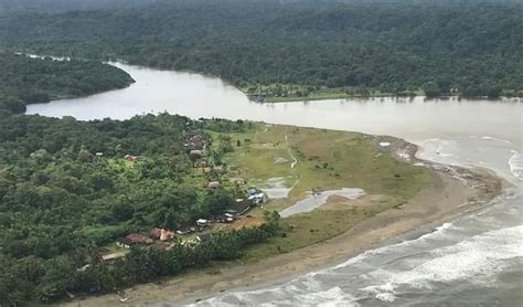 Sacrifican aves de corral en Belén y cerca de Veraguas por caso de