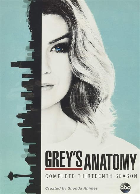 Grey S Anatomy Complete Thirteenth Season Sous Titres Fran Ais