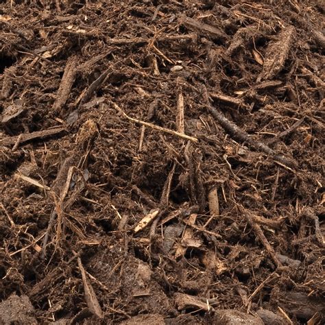 Forest Mulch